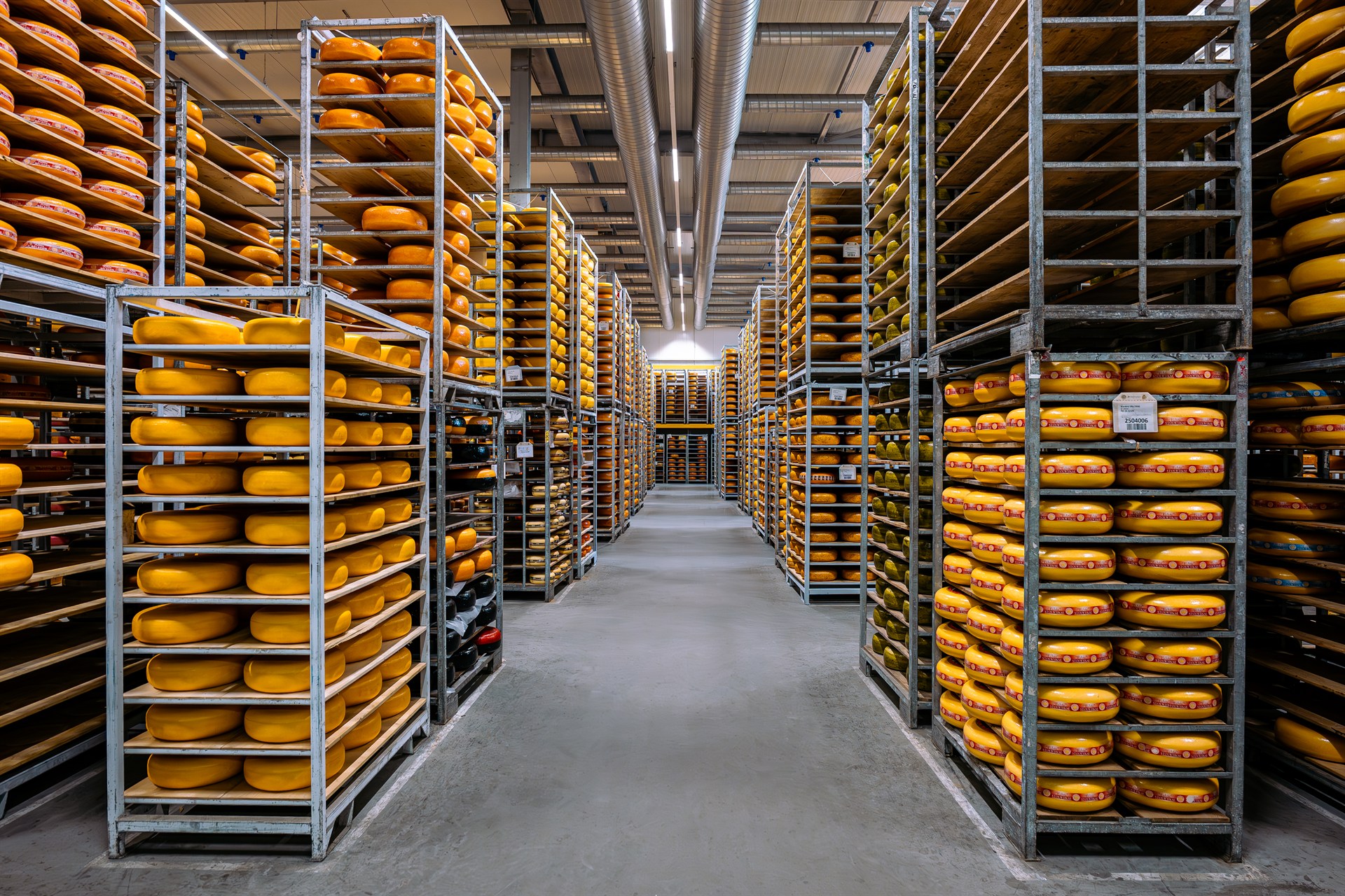 Opslag van kaas in het warehouse 